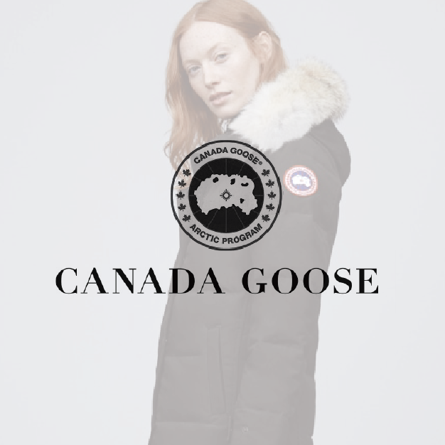 Canada Goose