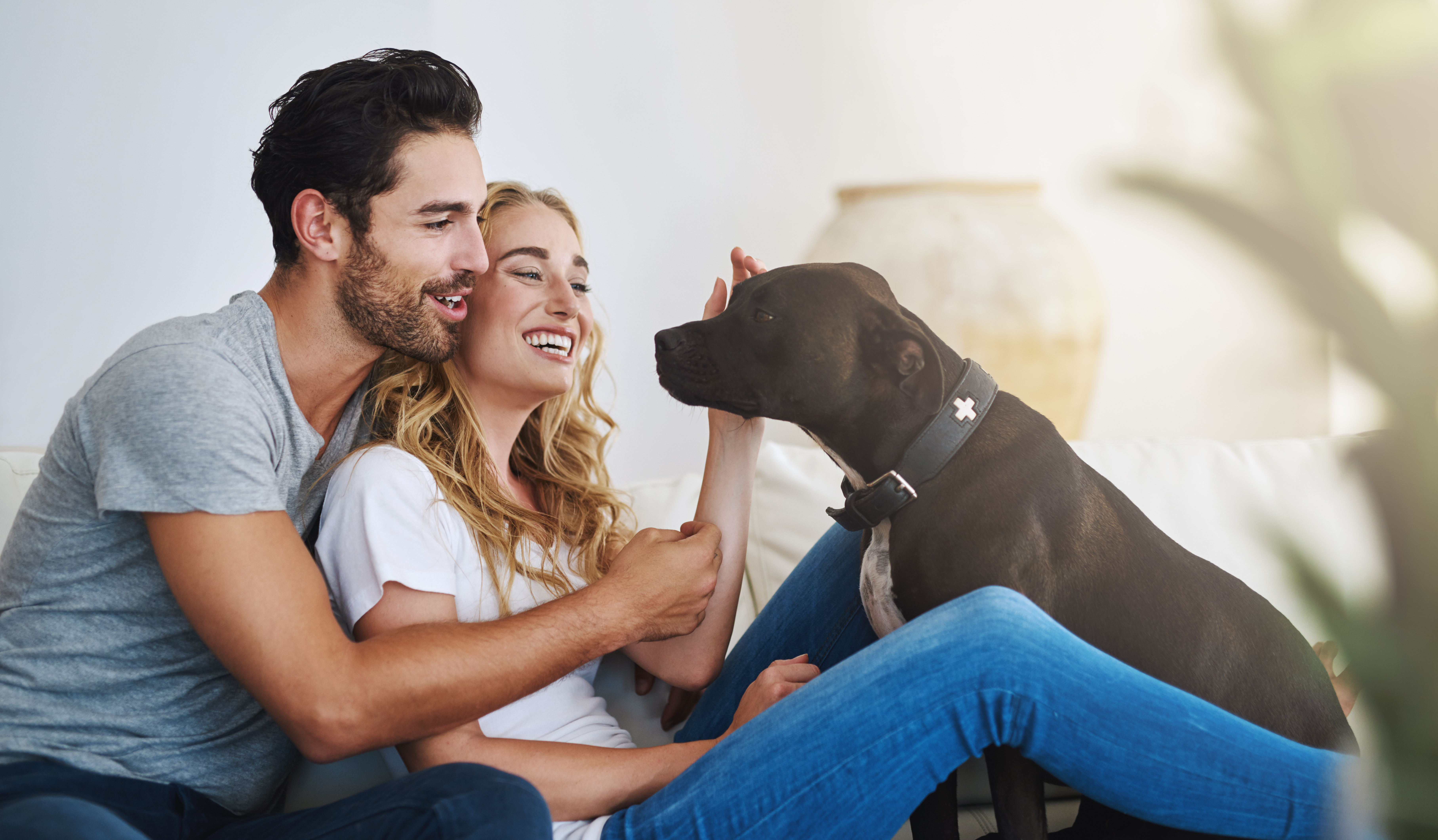 Do You Talk to Your Pet? It’s a Sign of Intelligence!