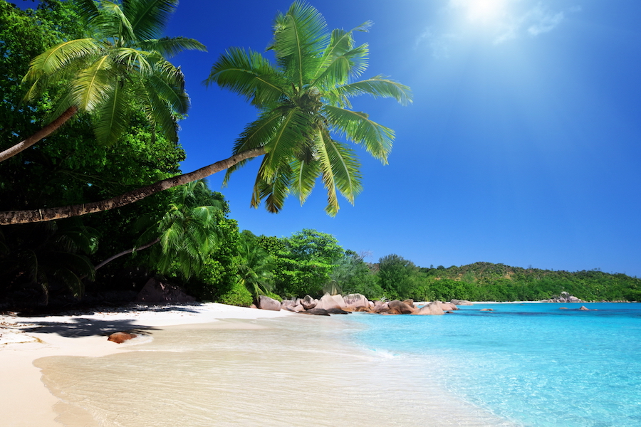 Plan your beach getaway