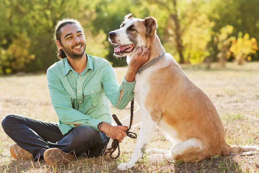 Puppy love: How having a dog can lead to affairs of the heart