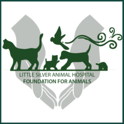 LS Animal Hospital LS Animal Hospital