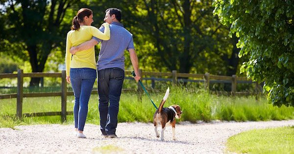This innovative new dating app is for dog lovers only